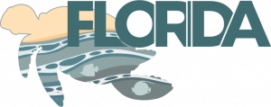 florida sea turtle - logo