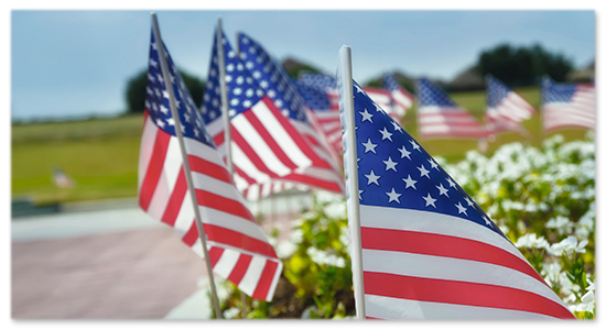 recruit page - american spirit flag plant
